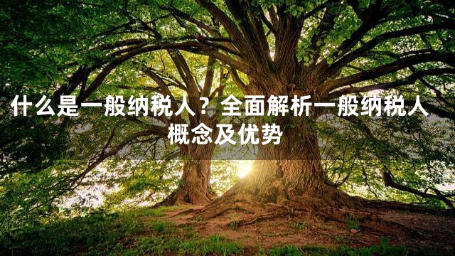 什么是一般纳税人？全面解析一般纳税人概念及优势