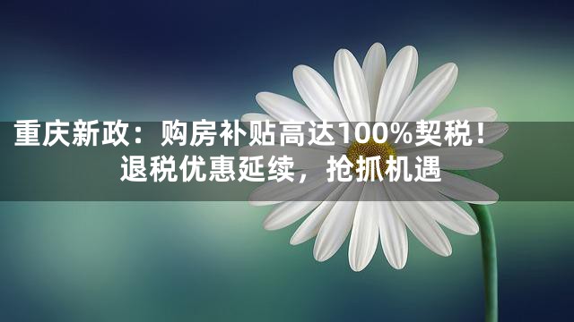 重庆新政：购房补贴高达100%契税！退税优惠延续，抢抓机遇