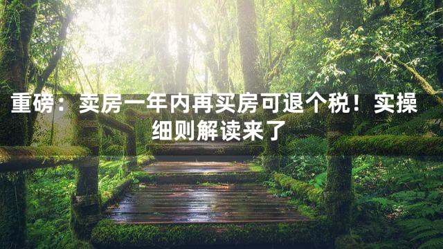 重磅：卖房一年内再买房可退个税！实操细则解读来了