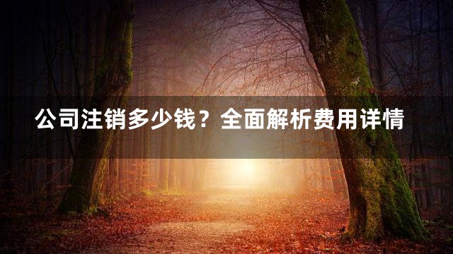 公司注销多少钱？全面解析费用详情