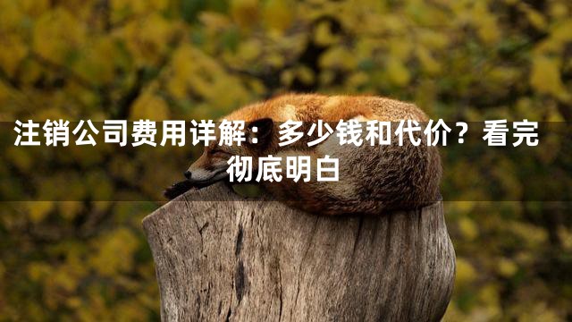 注销公司费用详解：多少钱和代价？看完彻底明白