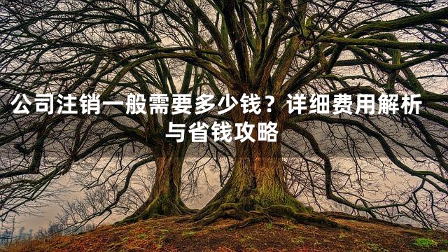 公司注销一般需要多少钱？详细费用解析与省钱攻略
