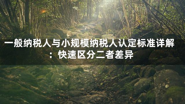 一般纳税人与小规模纳税人认定标准详解：快速区分二者差异