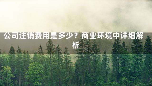 公司注销费用是多少？商业环境中详细解析