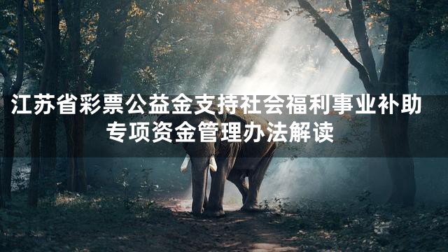 江苏省彩票公益金支持社会福利事业补助专项资金管理办法解读