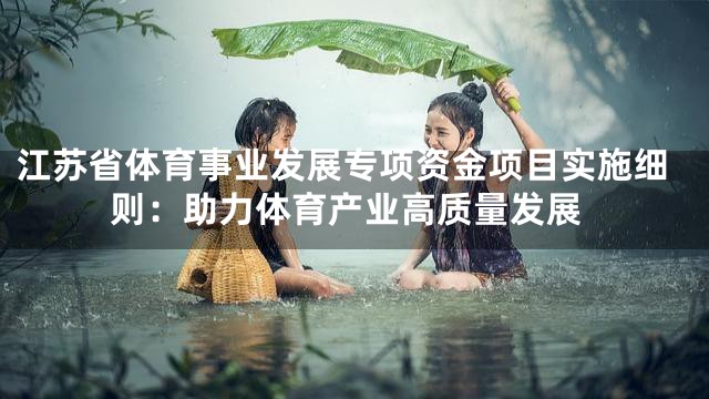 江苏省体育事业发展专项资金项目实施细则：助力体育产业高质量发展