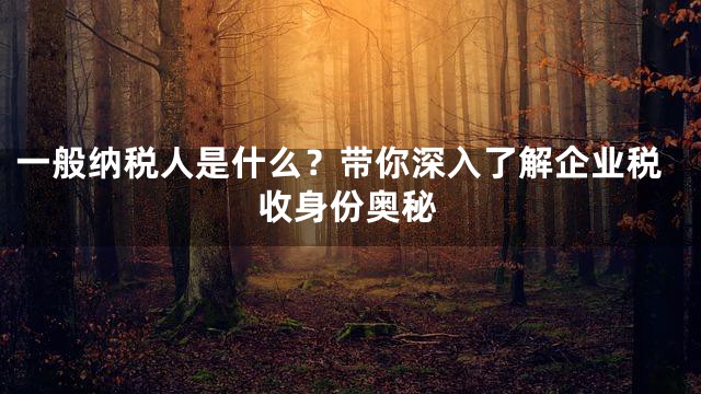 一般纳税人是什么？带你深入了解企业税收身份奥秘