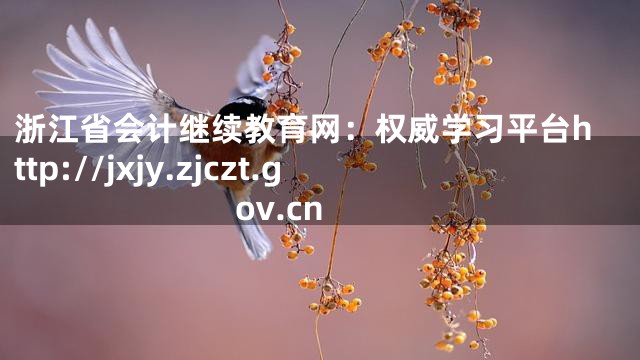 浙江省会计继续教育网：权威学习平台http://jxjy.zjczt.gov.cn
