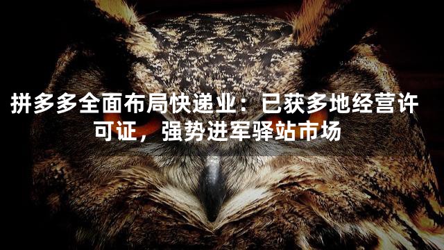 拼多多全面布局快递业：已获多地经营许可证，强势进军驿站市场