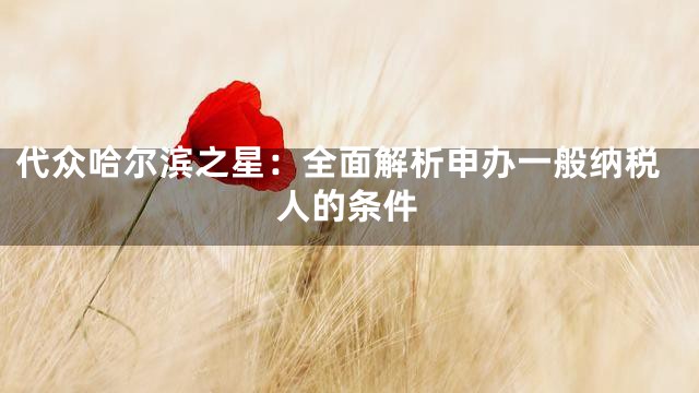代众哈尔滨之星：全面解析申办一般纳税人的条件