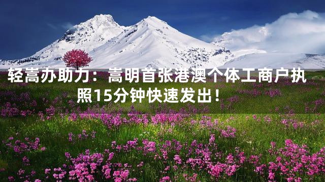 轻嵩办助力：嵩明首张港澳个体工商户执照15分钟快速发出！