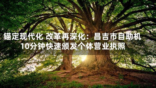 锚定现代化 改革再深化：昌吉市自助机10分钟快速颁发个体营业执照