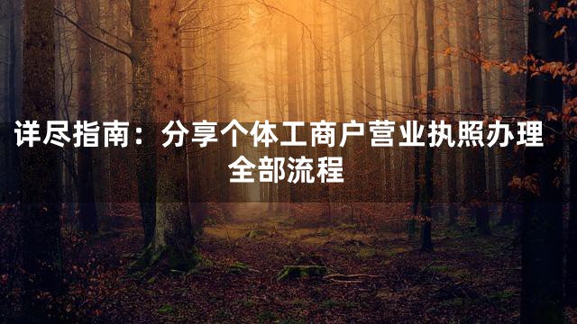 详尽指南：分享个体工商户营业执照办理全部流程
