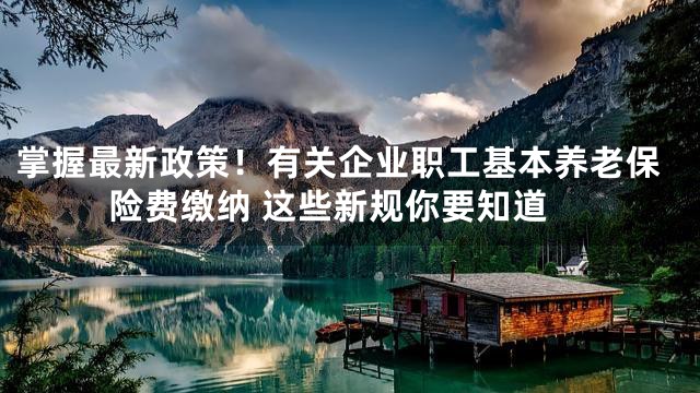 掌握最新政策！有关企业职工基本养老保险费缴纳 这些新规你要知道