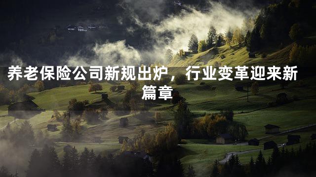 养老保险公司新规出炉，行业变革迎来新篇章