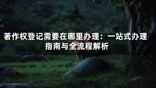 著作权登记需要在哪里办理：一站式办理指南与全流程解析