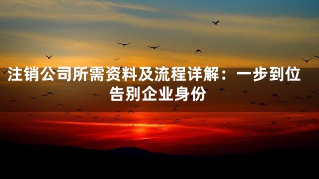 注销公司所需资料及流程详解：一步到位告别企业身份