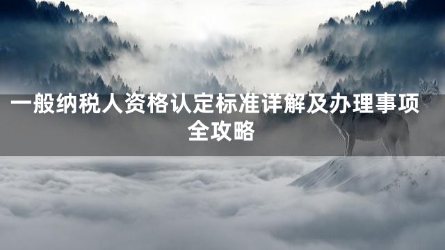 一般纳税人资格认定标准详解及办理事项全攻略