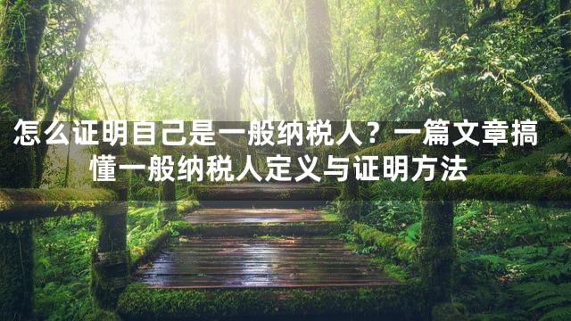 怎么证明自己是一般纳税人？一篇文章搞懂一般纳税人定义与证明方法