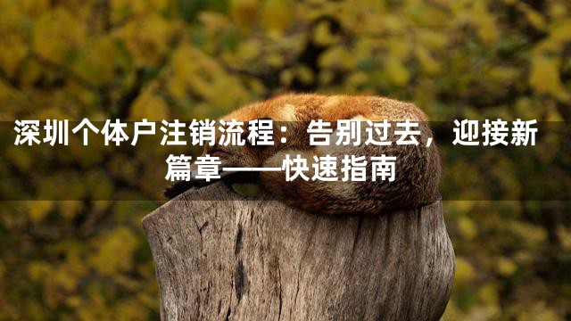 深圳个体户注销流程：告别过去，迎接新篇章——快速指南