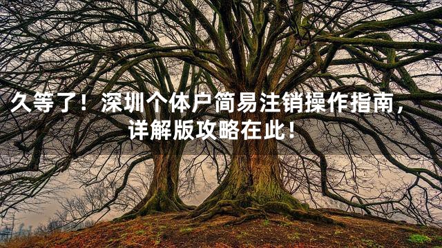 久等了！深圳个体户简易注销操作指南，详解版攻略在此！