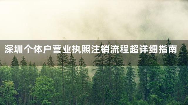 深圳个体户营业执照注销流程超详细指南