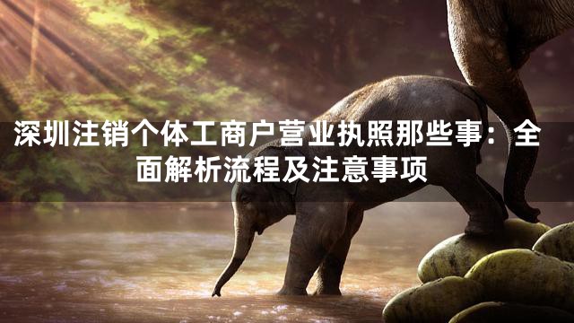 深圳注销个体工商户营业执照那些事：全面解析流程及注意事项