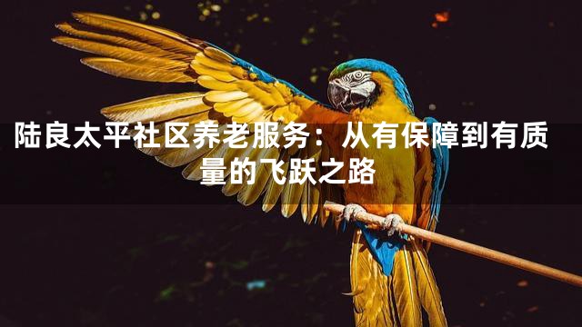 陆良太平社区养老服务：从有保障到有质量的飞跃之路