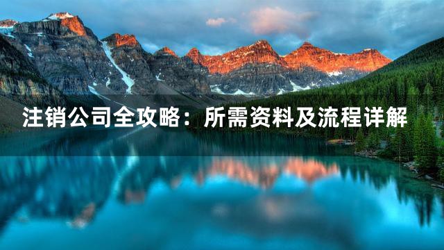 注销公司全攻略：所需资料及流程详解