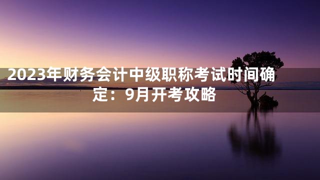 2023年财务会计中级职称考试时间确定：9月开考攻略
