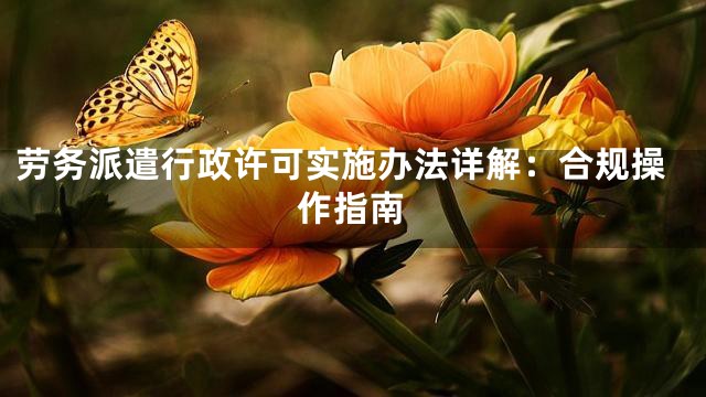劳务派遣行政许可实施办法详解：合规操作指南