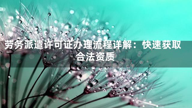 劳务派遣许可证办理流程详解：快速获取合法资质