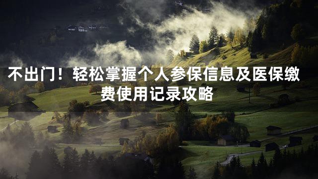 不出门！轻松掌握个人参保信息及医保缴费使用记录攻略