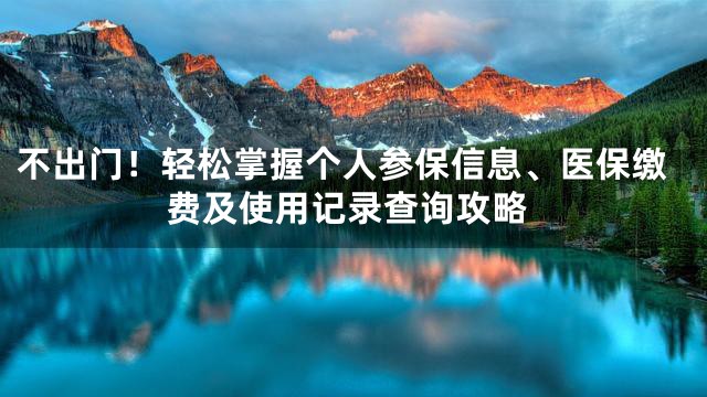 不出门！轻松掌握个人参保信息、医保缴费及使用记录查询攻略