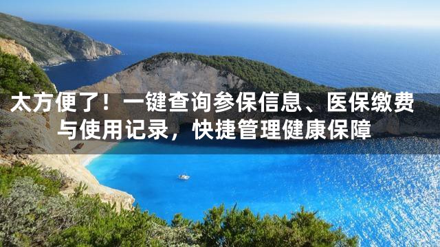 太方便了！一键查询参保信息、医保缴费与使用记录，快捷管理健康保障