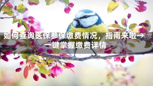 如何查询医保参保缴费情况，指南来啦→一键掌握缴费详情