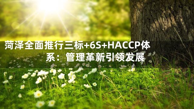 菏泽全面推行三标+6S+HACCP体系：管理革新引领发展