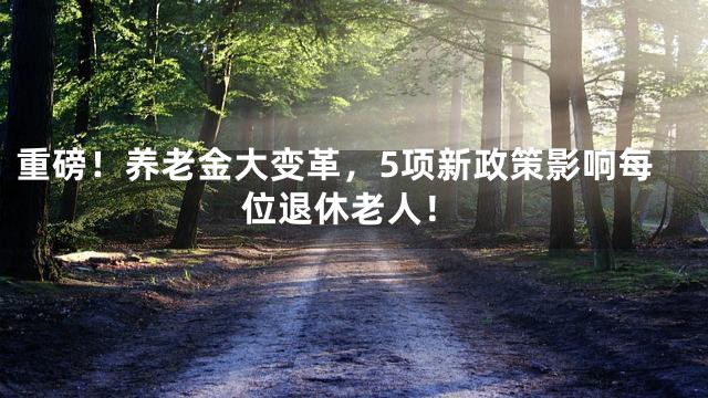重磅！养老金大变革，5项新政策影响每位退休老人！