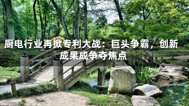 厨电行业再掀专利大战：巨头争霸，创新成果成争夺焦点