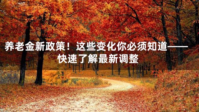 养老金新政策！这些变化你必须知道——快速了解最新调整