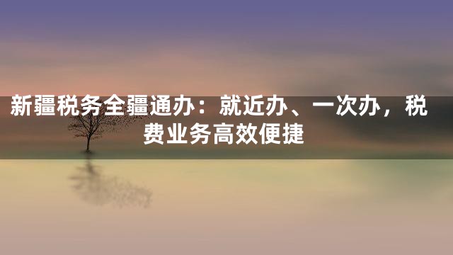 新疆税务全疆通办：就近办、一次办，税费业务高效便捷