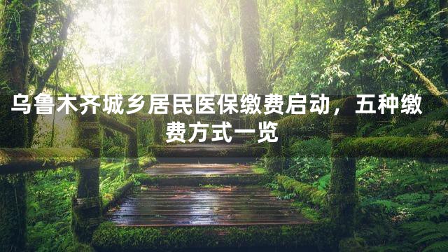 乌鲁木齐城乡居民医保缴费启动，五种缴费方式一览