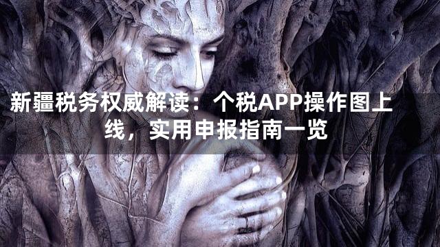 新疆税务权威解读：个税APP操作图上线，实用申报指南一览