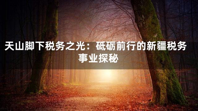 天山脚下税务之光：砥砺前行的新疆税务事业探秘