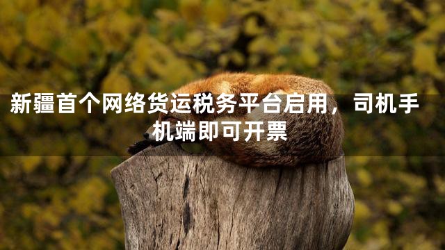 新疆首个网络货运税务平台启用，司机手机端即可开票
