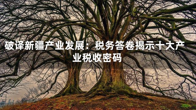 破译新疆产业发展：税务答卷揭示十大产业税收密码