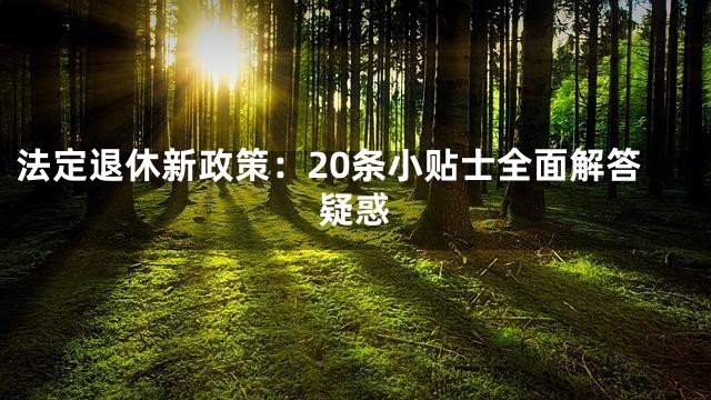 法定退休新政策：20条小贴士全面解答疑惑