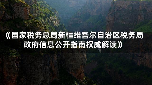 《国家税务总局新疆维吾尔自治区税务局政府信息公开指南权威解读》