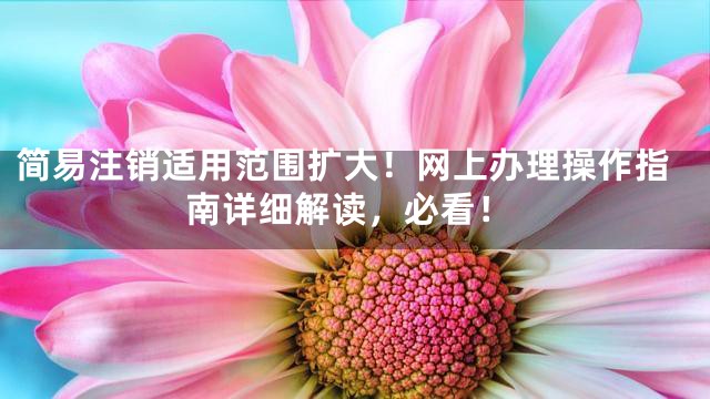 简易注销适用范围扩大！网上办理操作指南详细解读，必看！
