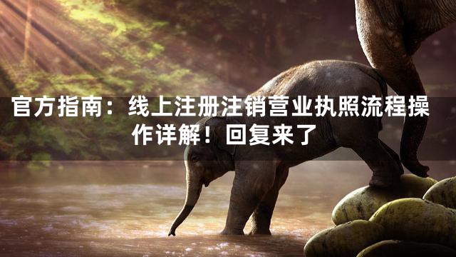 官方指南：线上注册注销营业执照流程操作详解！回复来了